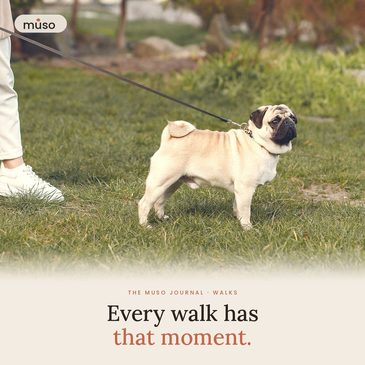 The Least Favourite Part of Every Walk (and How to Make It Easier)