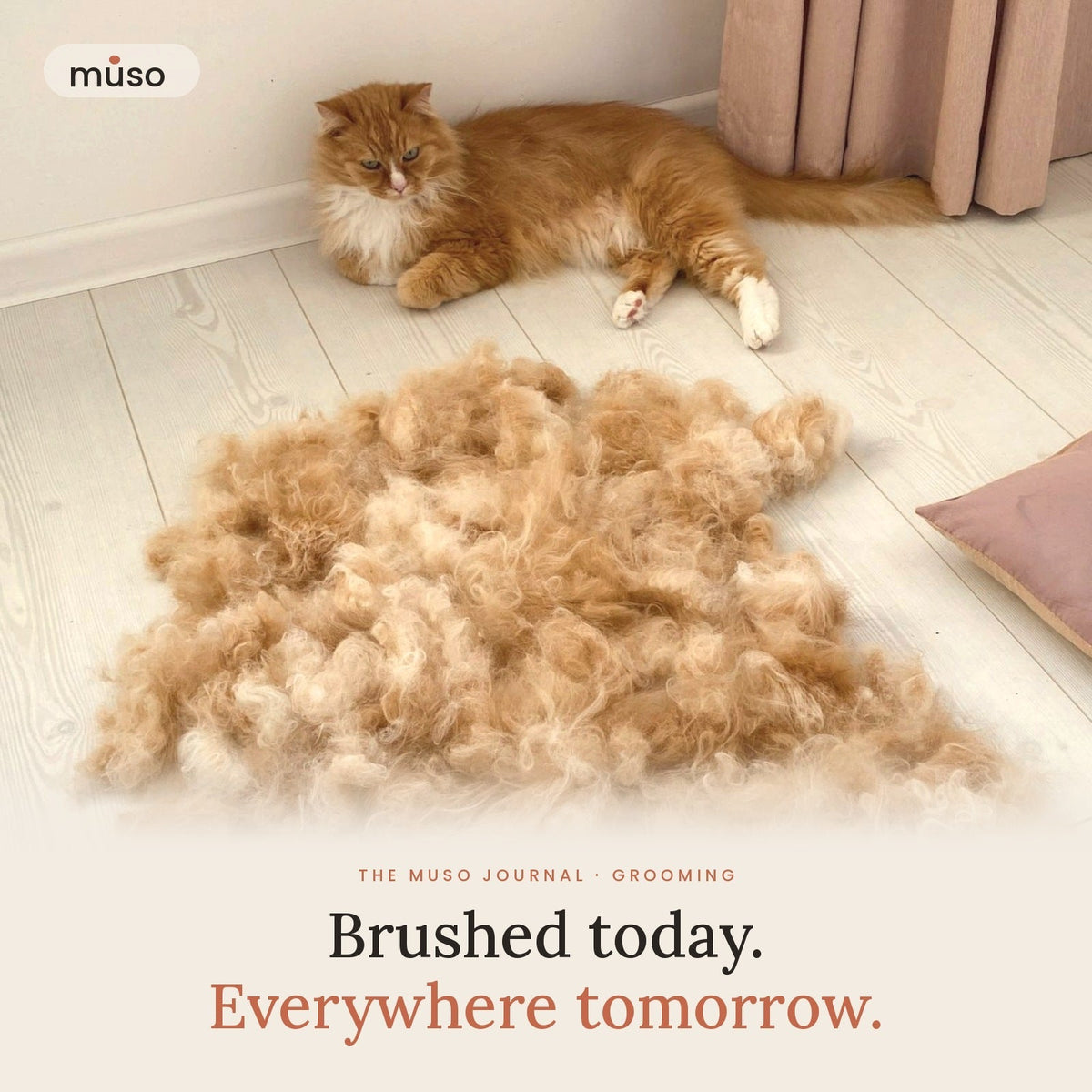 Pet Hair Everywhere? How to Groom Without the Fur Storm
