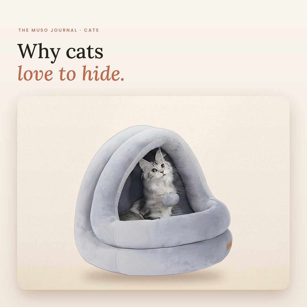 A kitten peeking out of a cosy cat hideaway