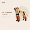 The All-Weather Leggings – Dog Boots with Leg Covers & Suspenders