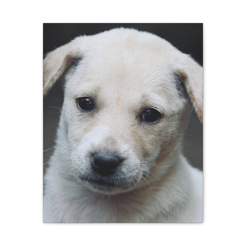 The Portrait Canvas – Custom Pet Portrait on Canvas