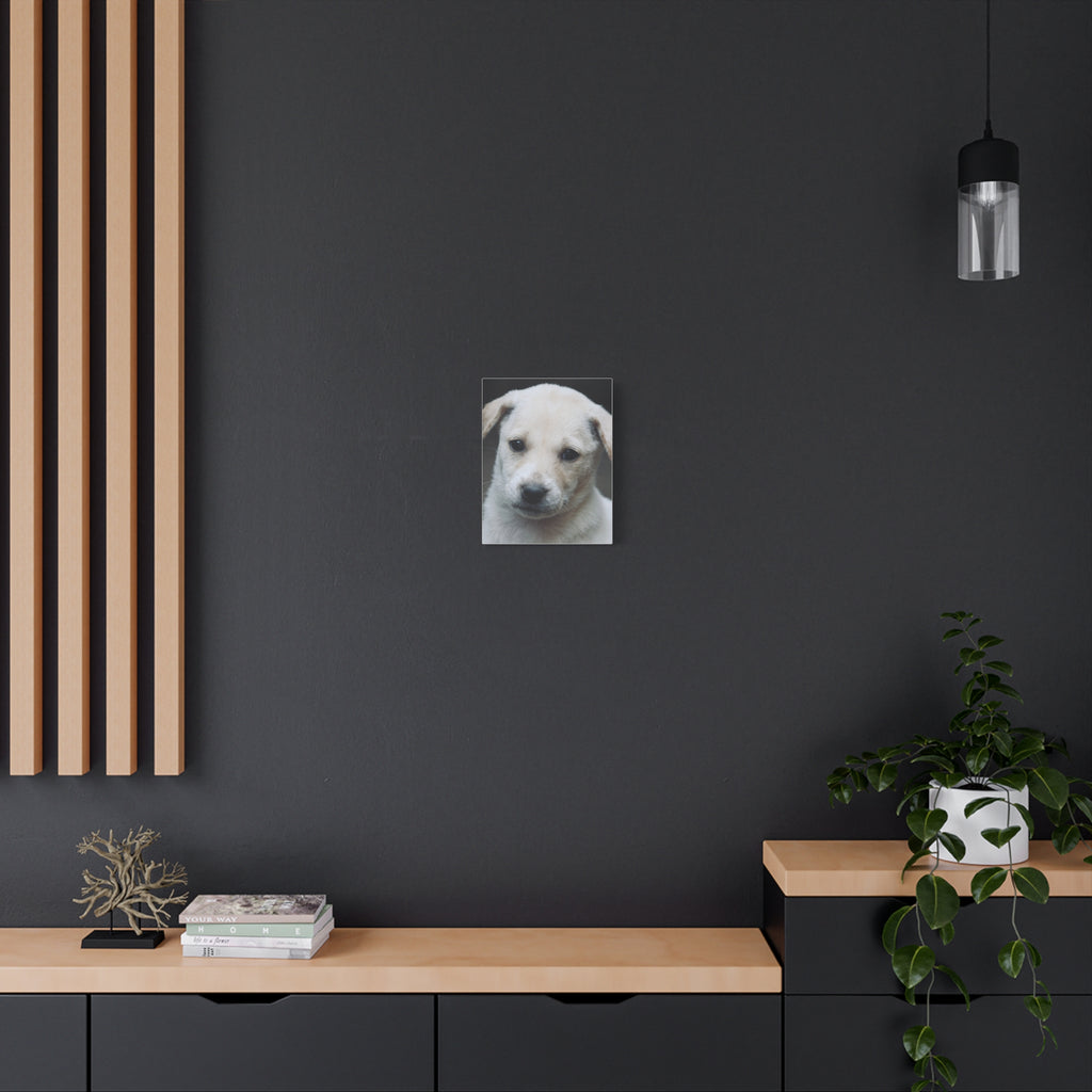 The Portrait Canvas – Custom Pet Portrait on Canvas