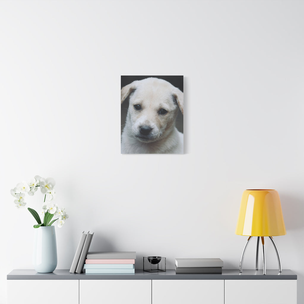 The Portrait Canvas – Custom Pet Portrait on Canvas