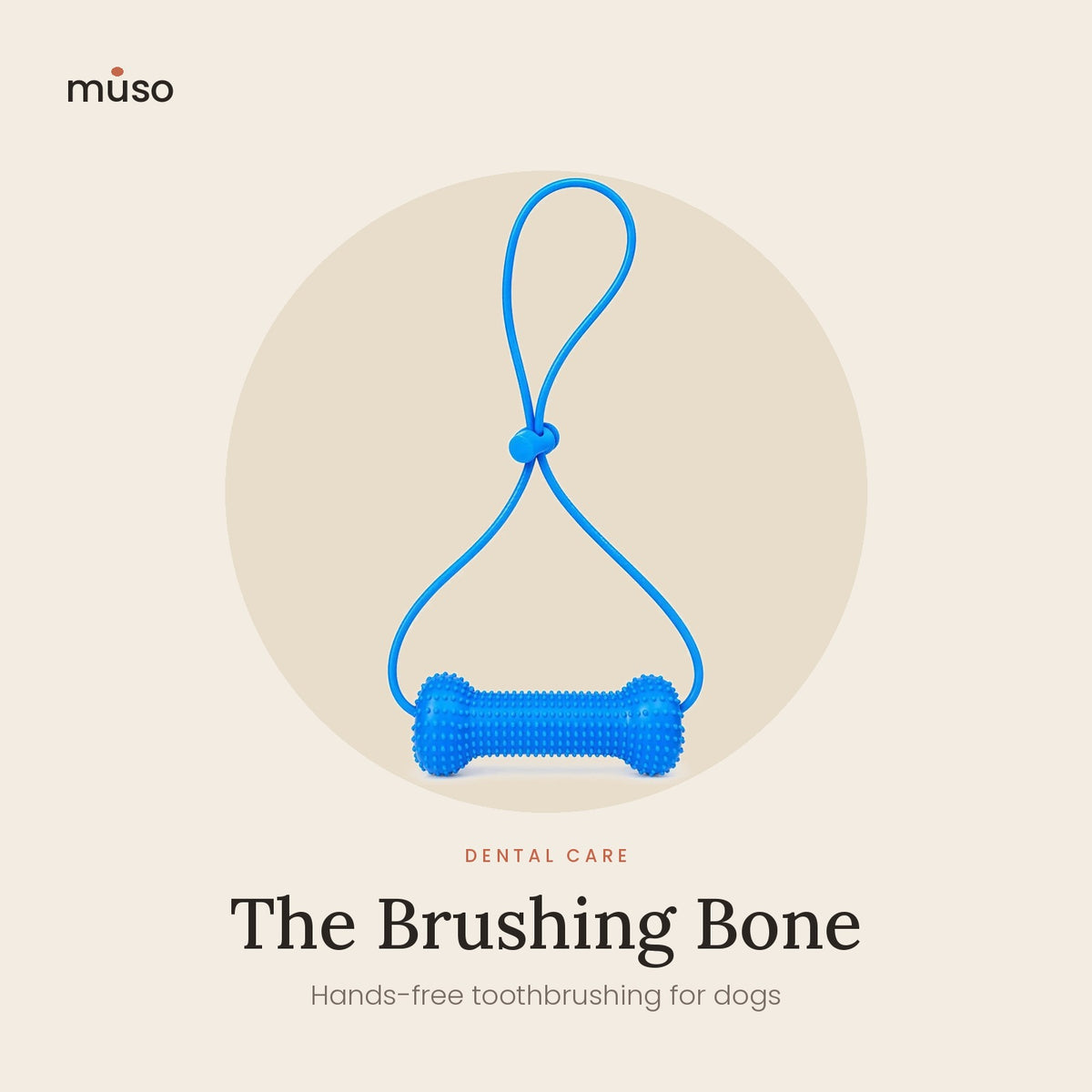The Brushing Bone – Hands-Free Dog Dental Kit