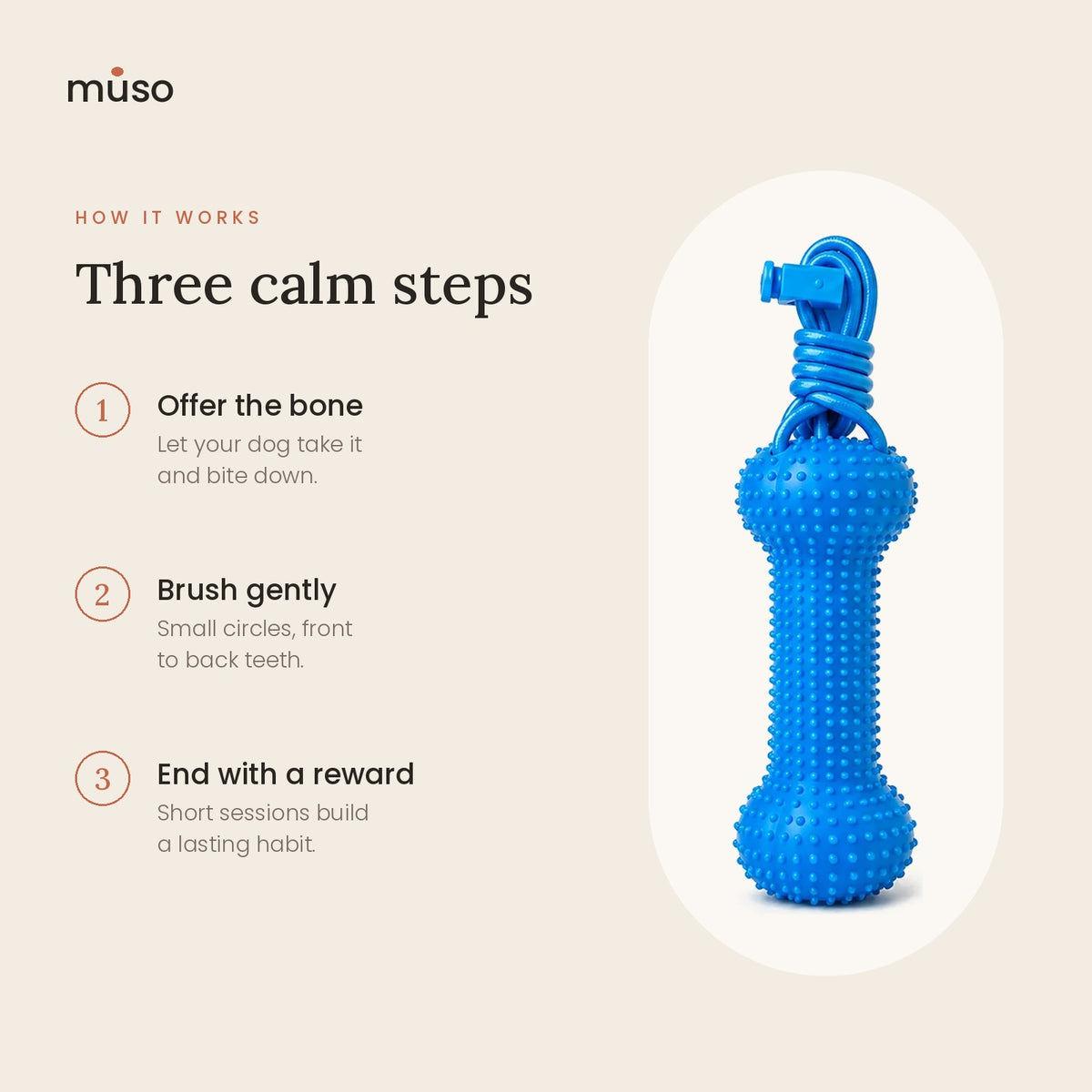The Brushing Bone – Hands-Free Dog Dental Kit
