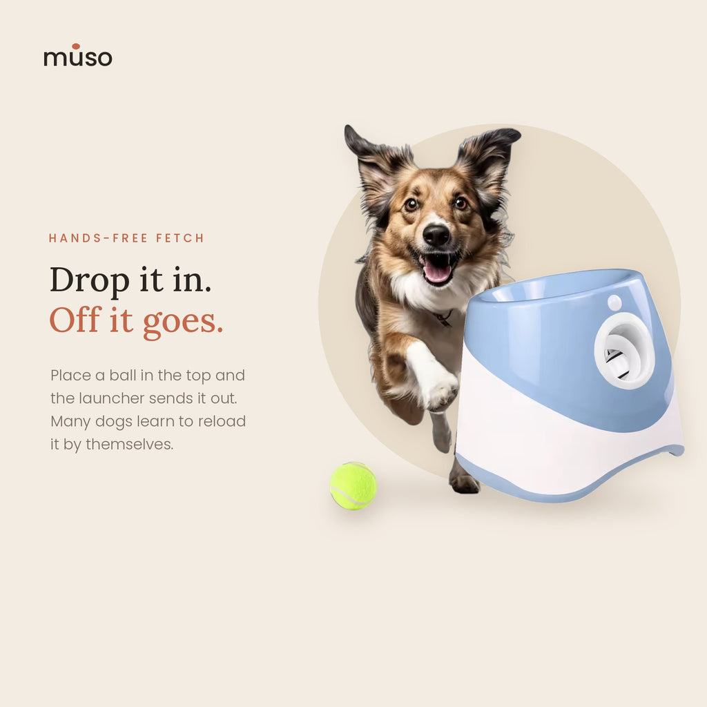 The Fetch Launcher – Automatic Ball Launcher for Dogs