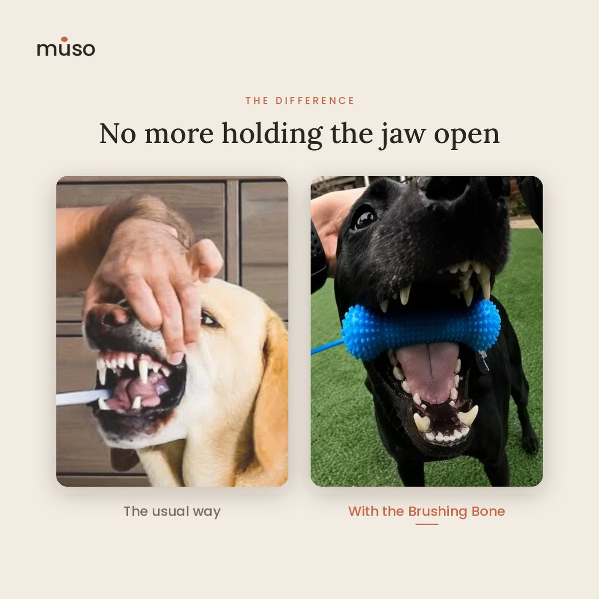 The Brushing Bone – Hands-Free Dog Dental Kit