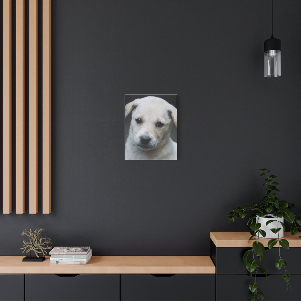 The Portrait Canvas – Custom Pet Portrait on Canvas