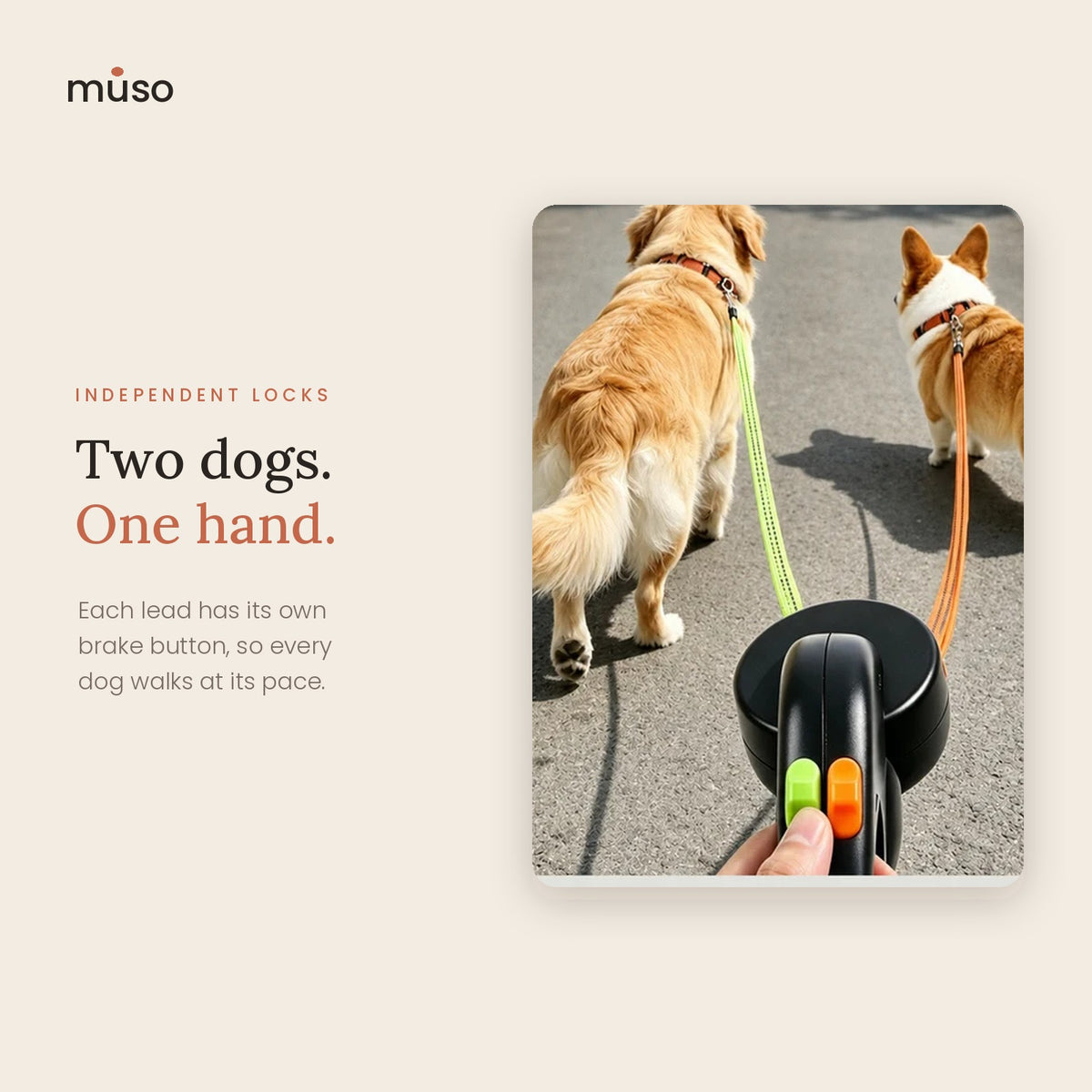 The Double Leash – Retractable Leash for Two Dogs with LED Light