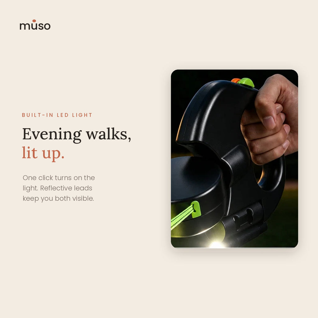 The Double Leash – Retractable Leash for Two Dogs with LED Light