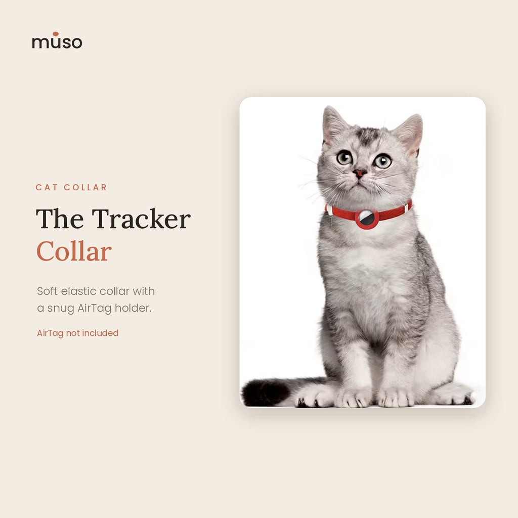The Tracker Collar – Elastic AirTag Cat Collar with ID Tag