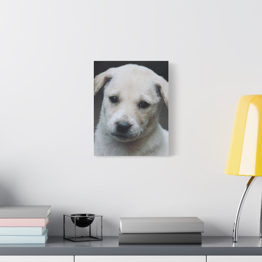 The Portrait Canvas – Custom Pet Portrait on Canvas