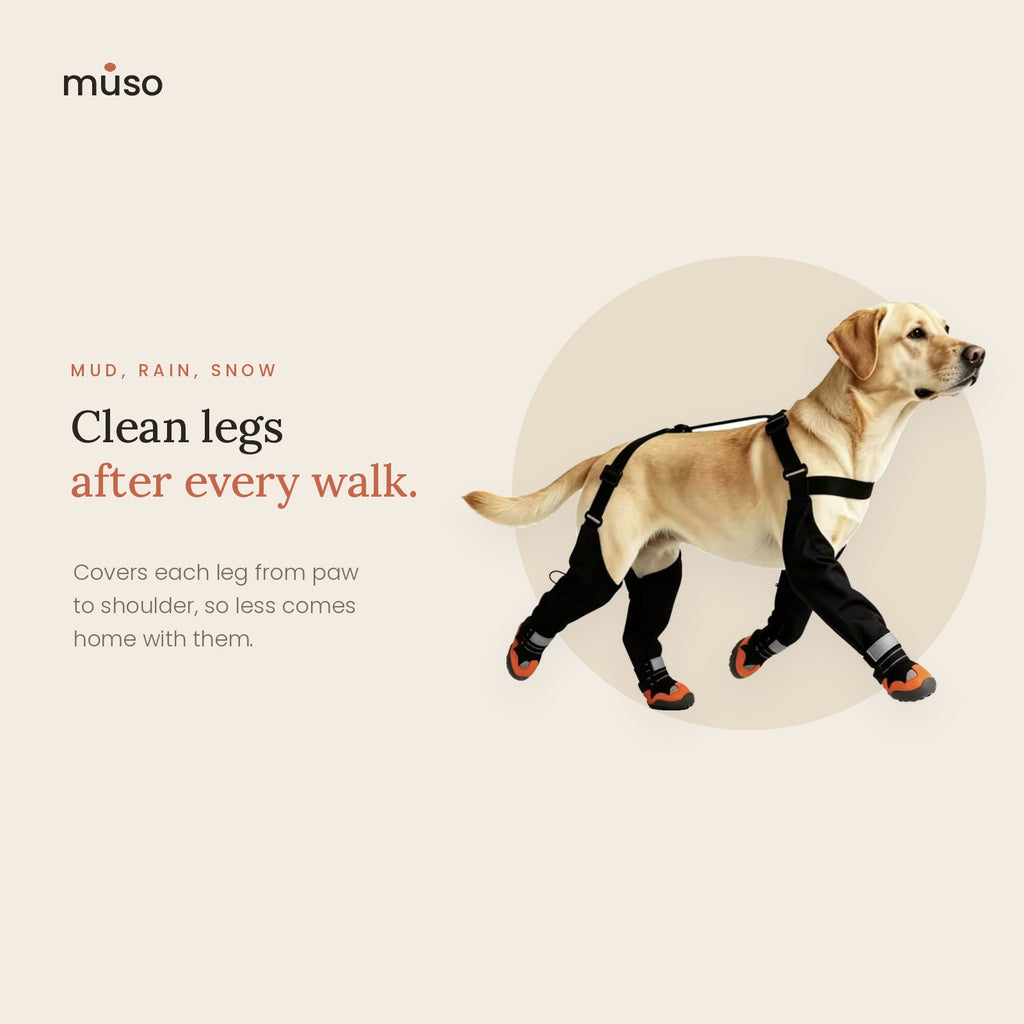 The All-Weather Leggings – Dog Boots with Leg Covers & Suspenders