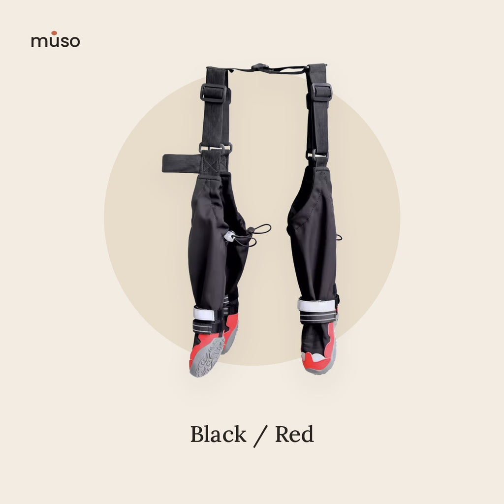 The All-Weather Leggings – Dog Boots with Leg Covers & Suspenders
