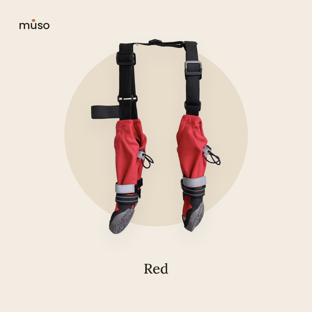 The All-Weather Leggings – Dog Boots with Leg Covers & Suspenders