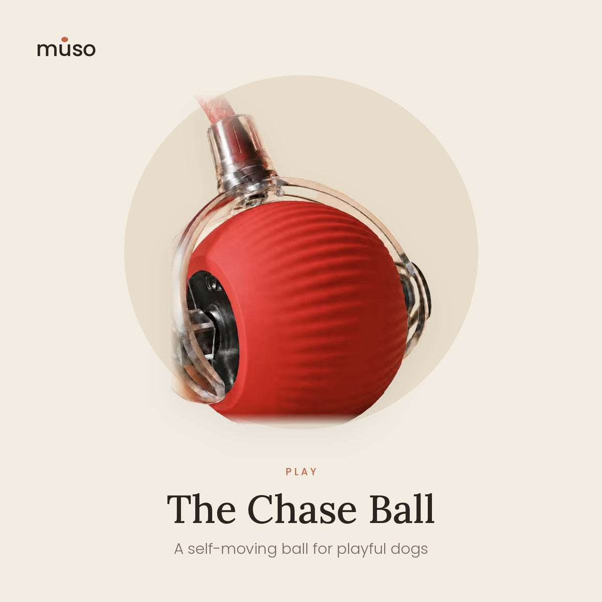 The Chase Ball – Self-Moving Interactive Dog Ball with Rope