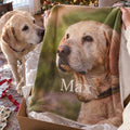 Unwrapping The Portrait Blanket on Christmas morning while the dog on the print sniffs the box