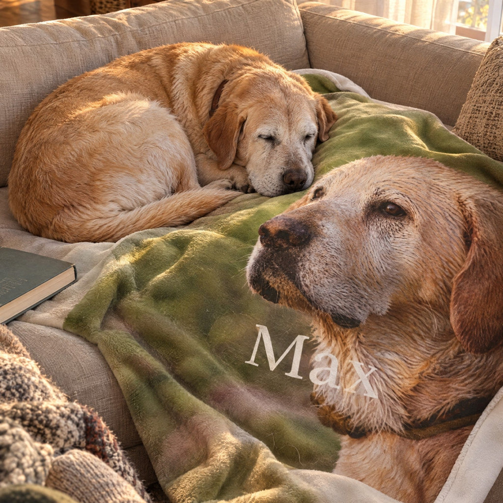 Senior labrador asleep on the sofa next to its own portrait on The Portrait Blanket