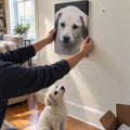 Hanging The Portrait Canvas on the living room wall while the puppy looks up at its own portrait