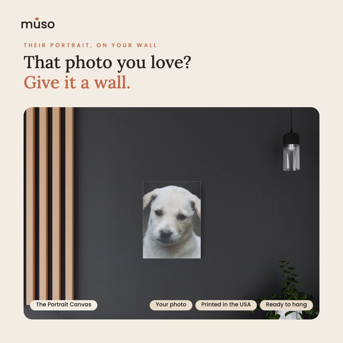 Custom pet portrait canvas made from your photo, printed in the USA and ready to hang