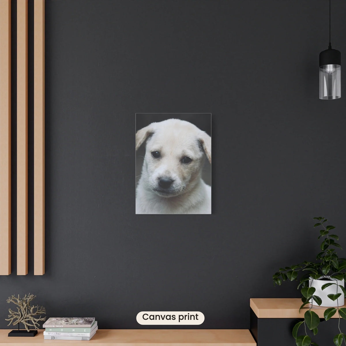 The Portrait Canvas with a puppy's photo hanging on a dark living room wall