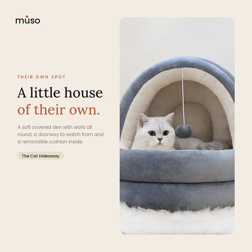 The Cat Hideaway: in use at home