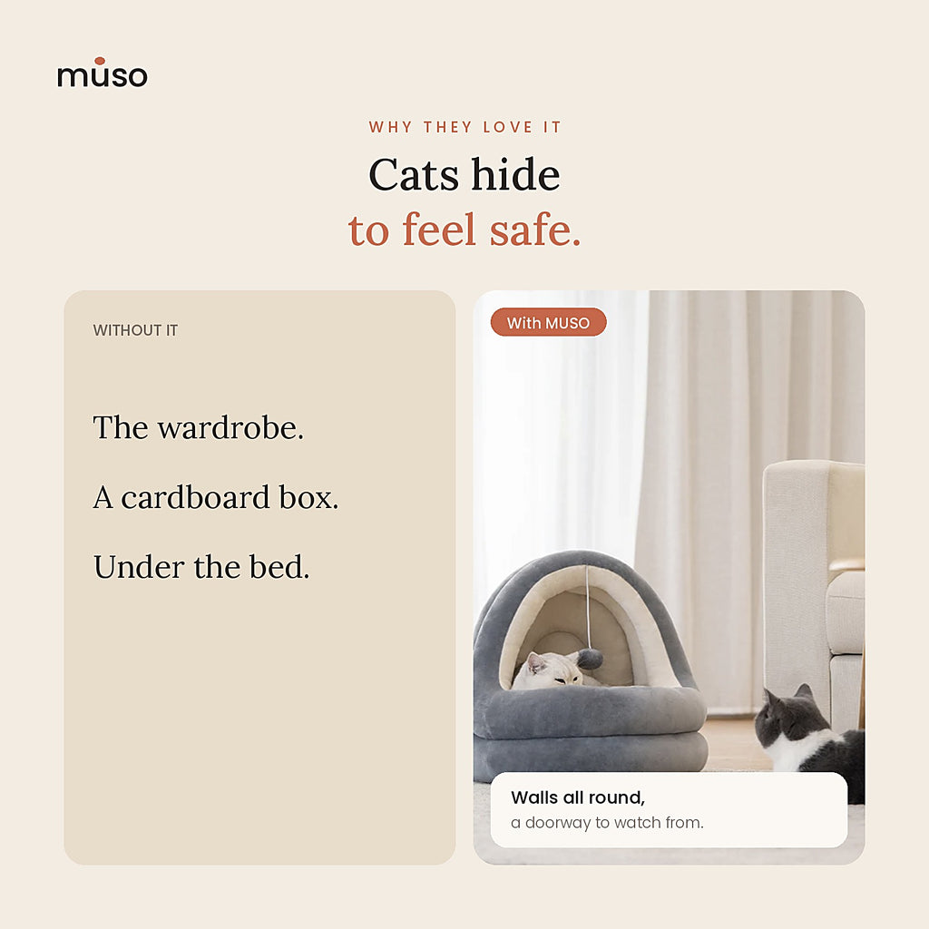 The Cat Hideaway: why it works