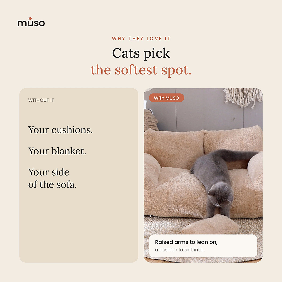 The Cat Sofa: why it works