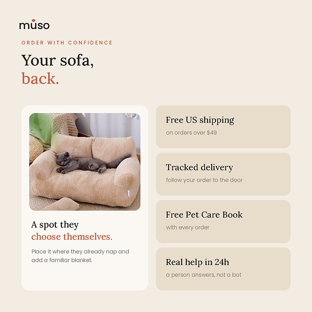 The Cat Sofa: free US shipping over $49 and tracked delivery