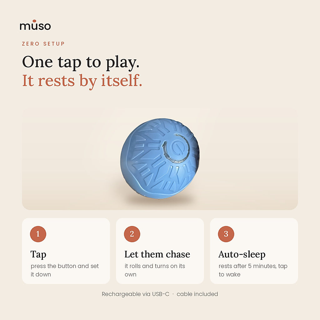 The Chase Ball: one tap to play