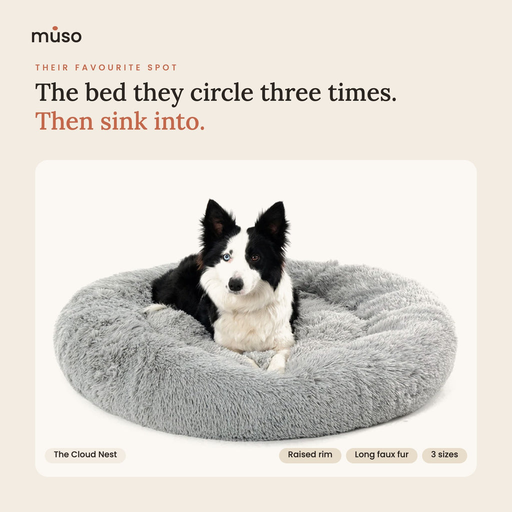 The Cloud Nest fluffy donut bed in Light Grey with a dog resting in it