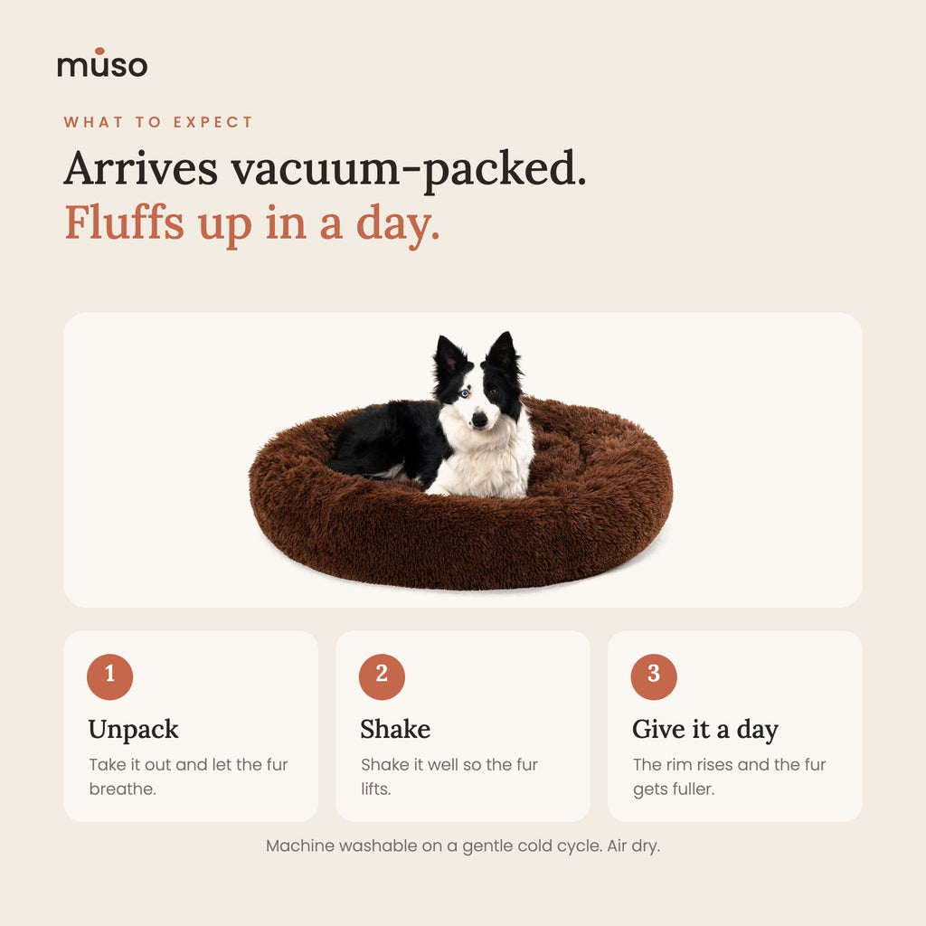 Arrives vacuum-packed and fluffs up in a day