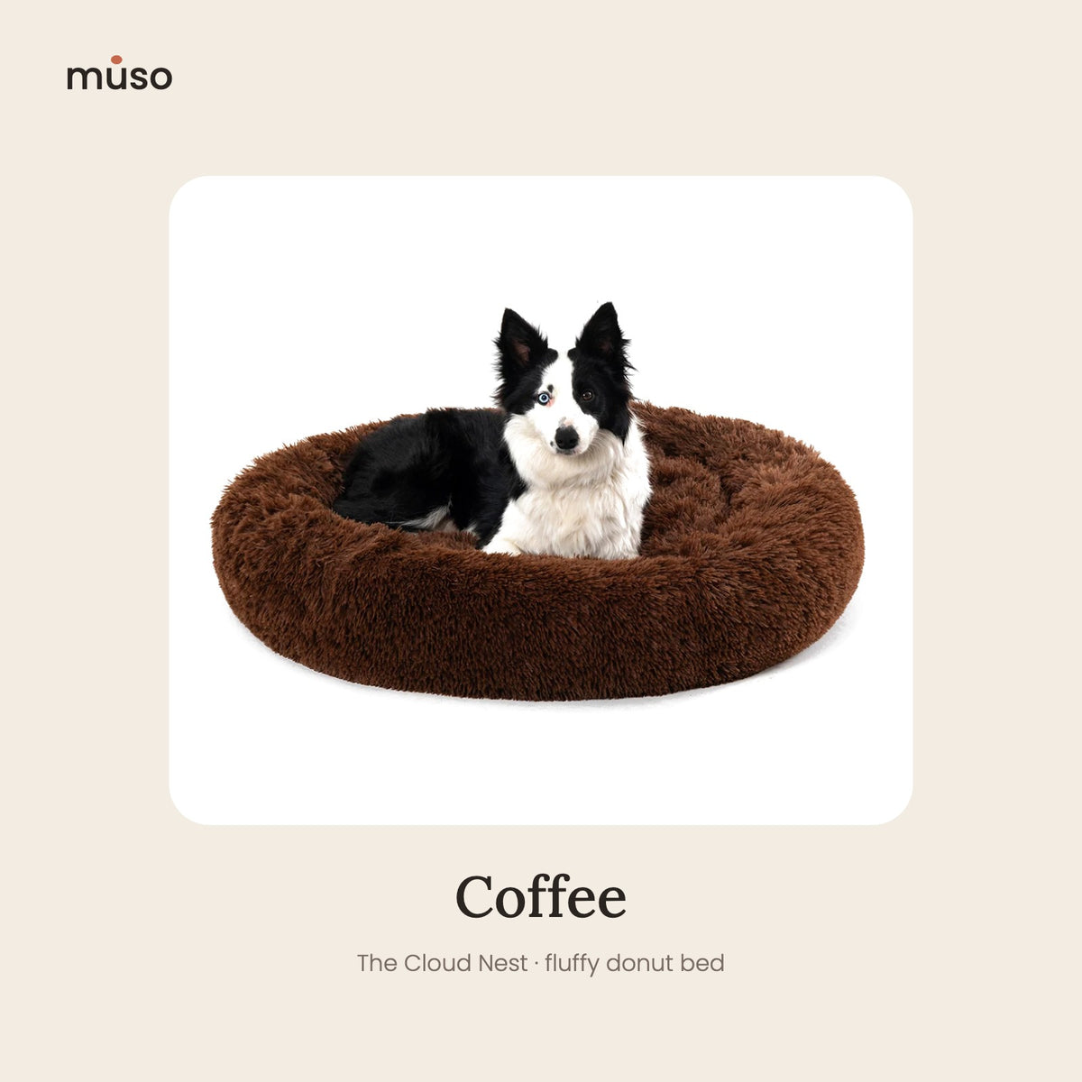 The Cloud Nest, Coffee