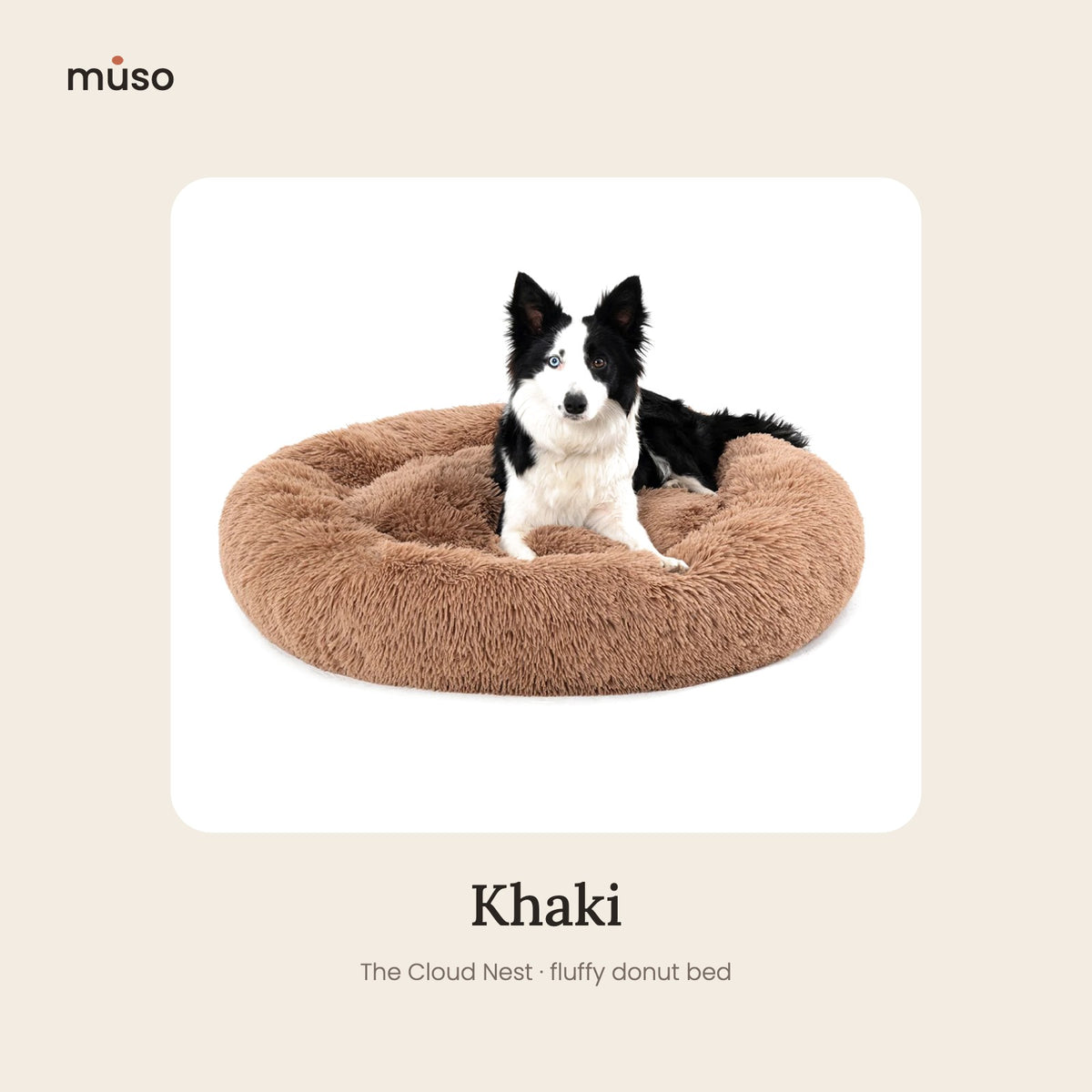 The Cloud Nest, Khaki