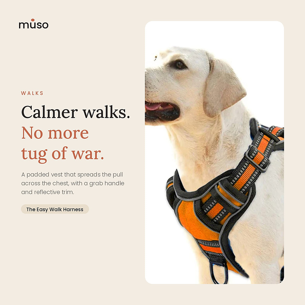The Easy Walk Harness: in use at home
