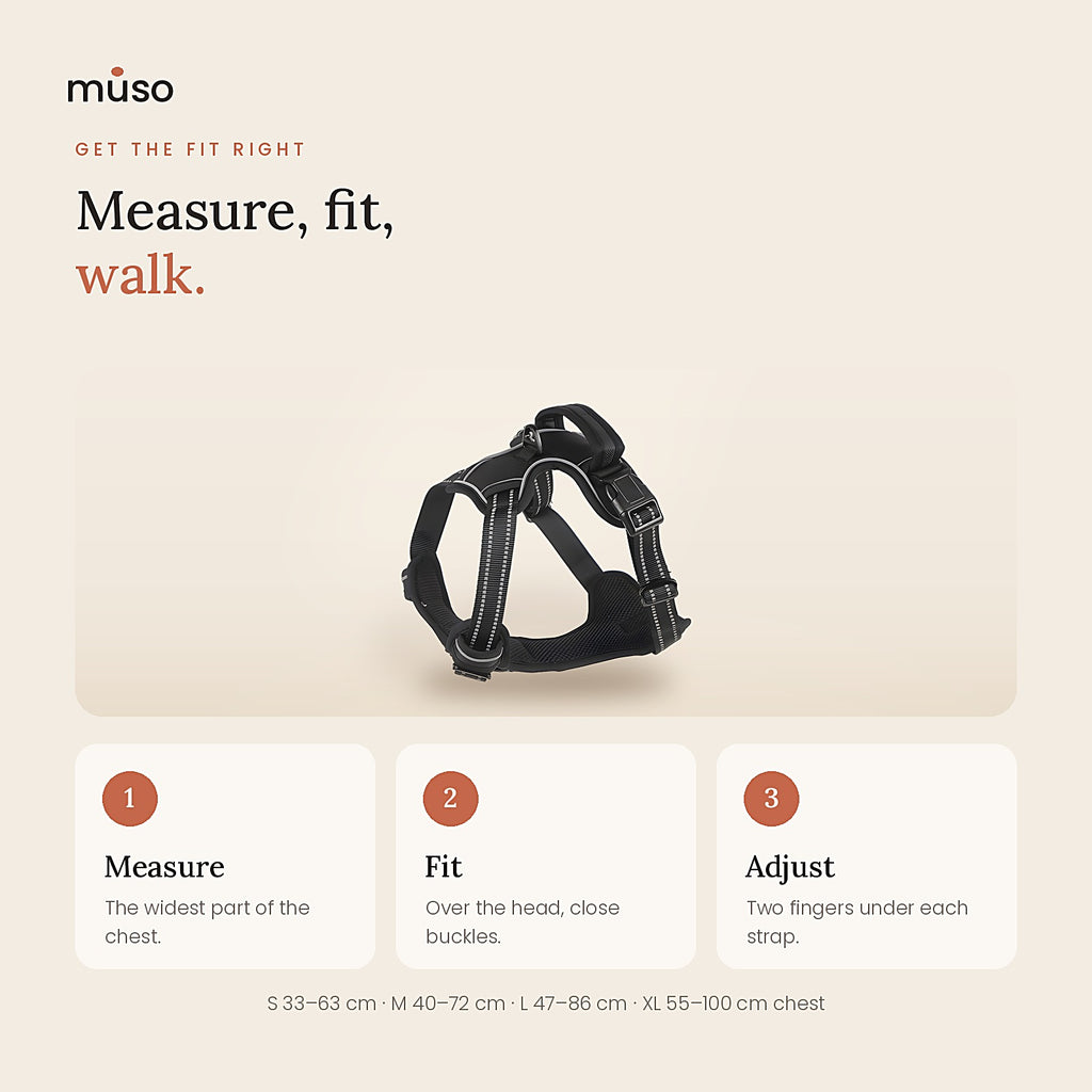 The Easy Walk Harness: how to fit it