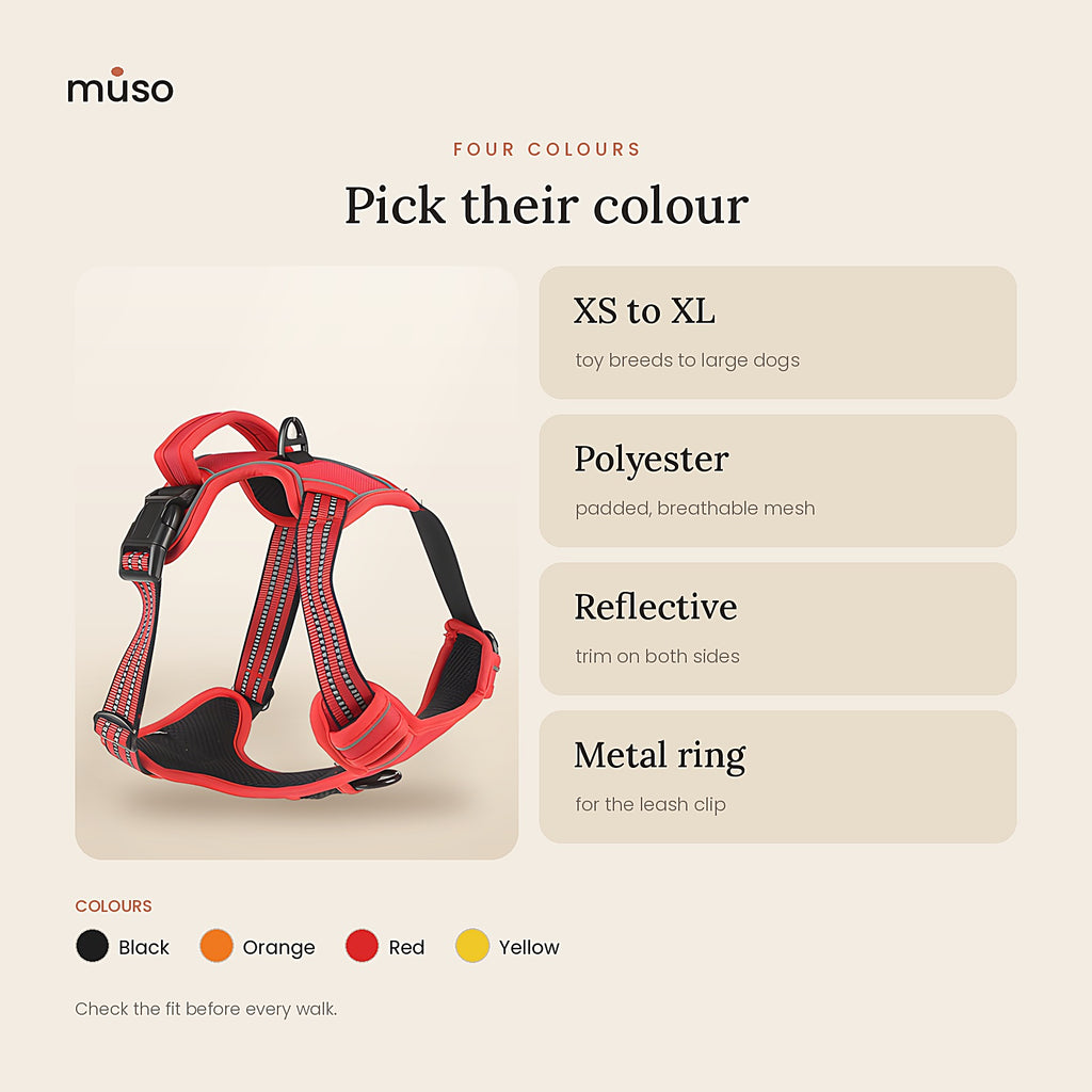 The Easy Walk Harness: all colours