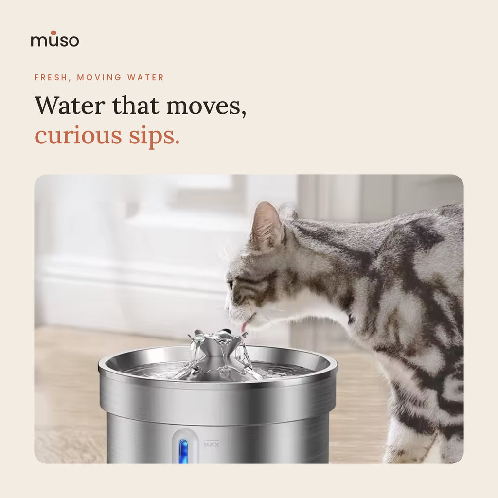 The Fresh Fountain – 2L Stainless Steel Cat Water Fountain with Filters