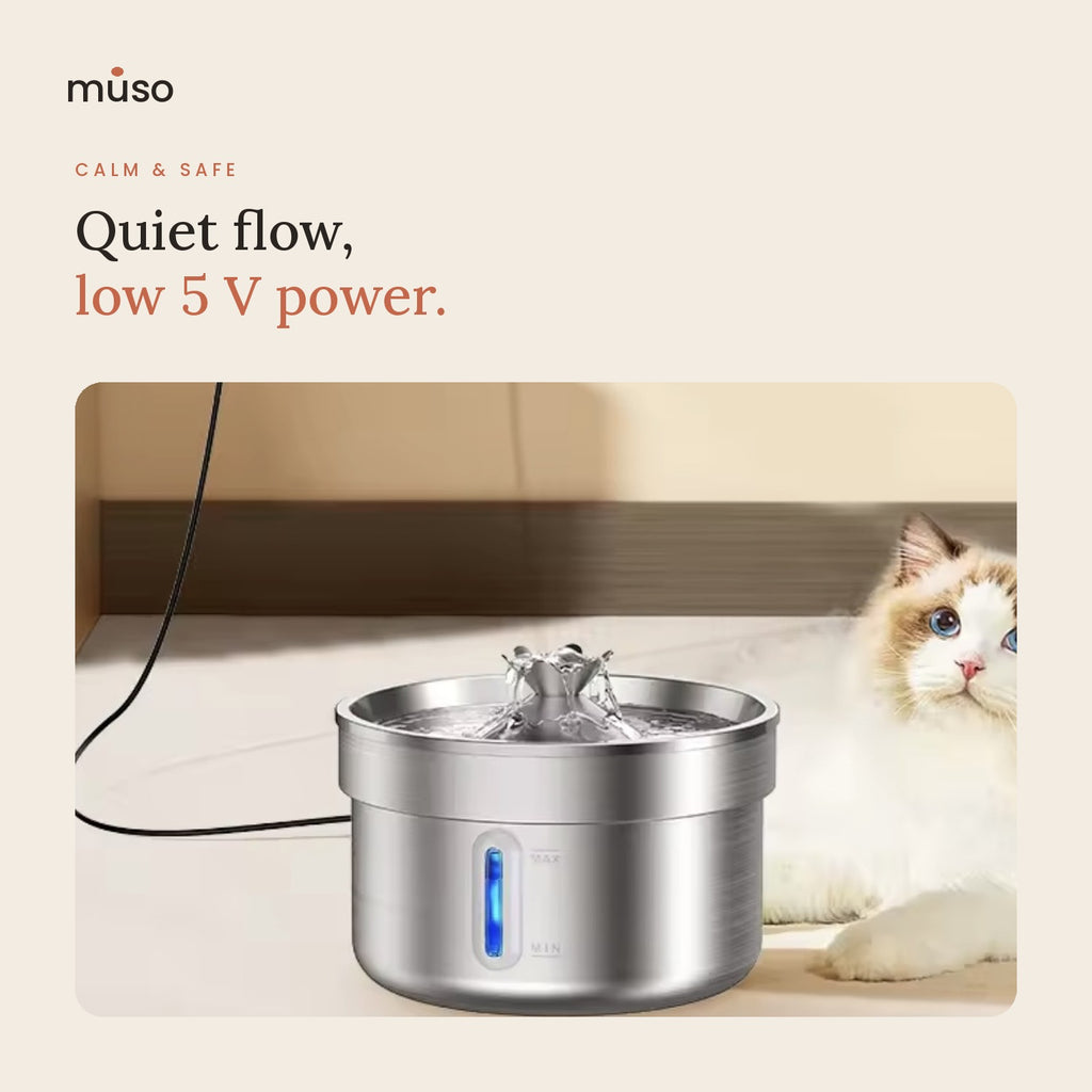 The Fresh Fountain – 2L Stainless Steel Cat Water Fountain with Filters