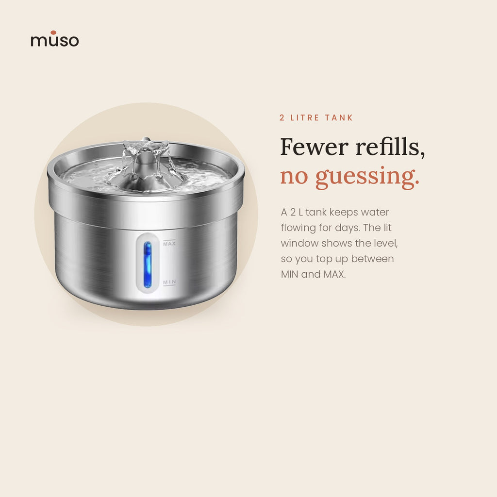 The Fresh Fountain – 2L Stainless Steel Cat Water Fountain with Filters