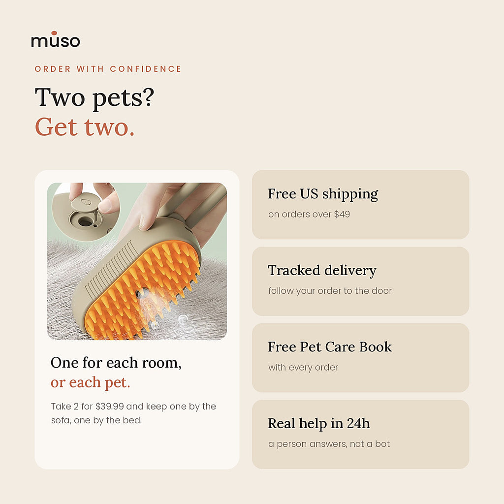 The Mist Brush: free US shipping over $49 and tracked delivery