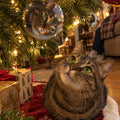 Tabby cat under the Christmas tree looking up at its own photo ornament
