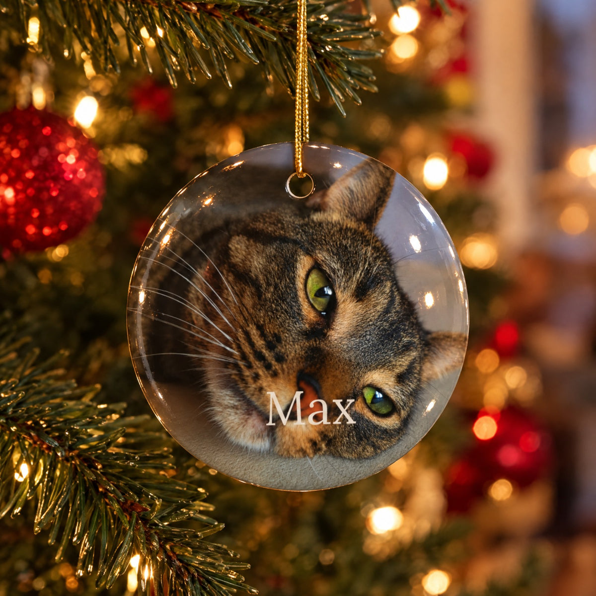 Close-up of the glossy ceramic pet photo ornament on a lit Christmas tree