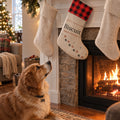 Personalized pet stocking with the name Biscuit on the mantel, the dog looking up at it by the fire