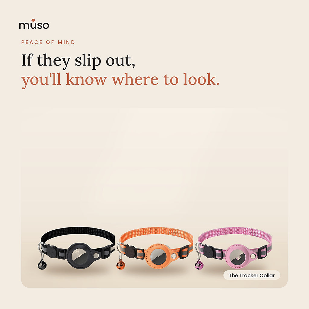 The Tracker Collar: in use at home
