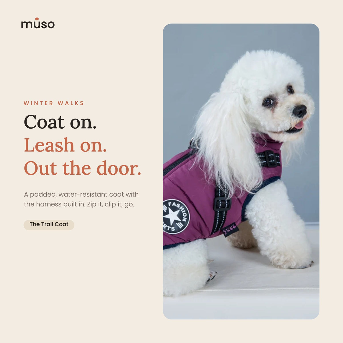 Dog wearing The Trail Coat, a winter dog coat with built-in harness