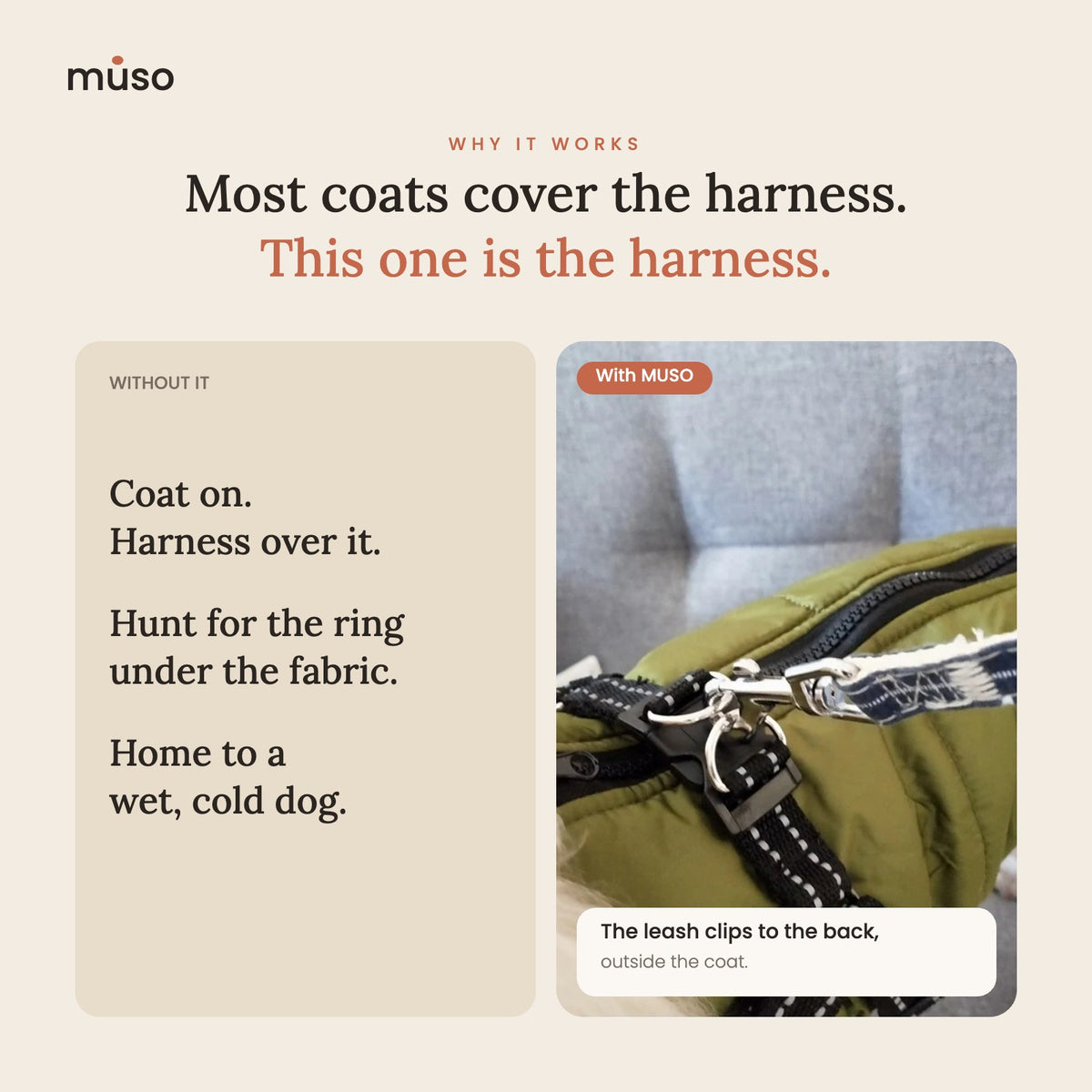 The leash clips to the D-ring on the back, outside the coat