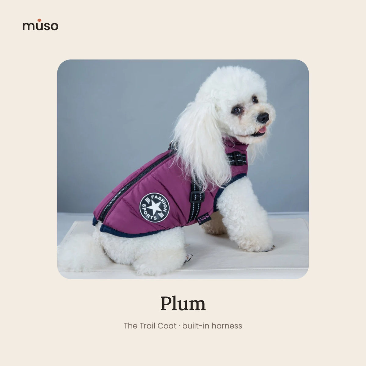 The Trail Coat, Plum