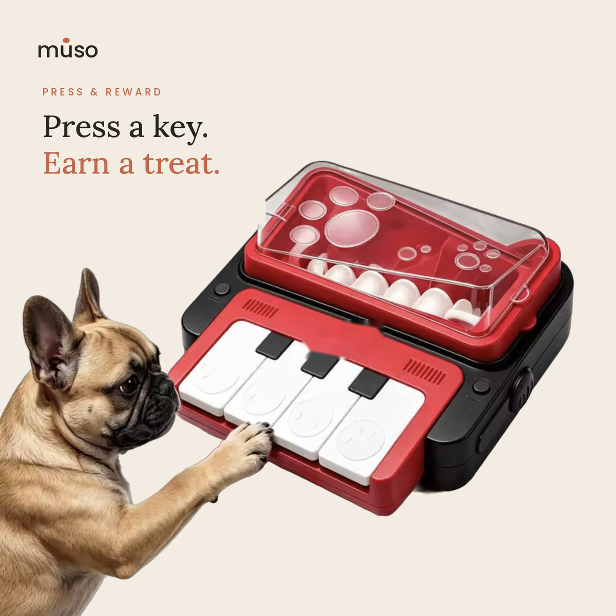 The Treat Piano – Interactive Treat Dispenser Game for Dogs