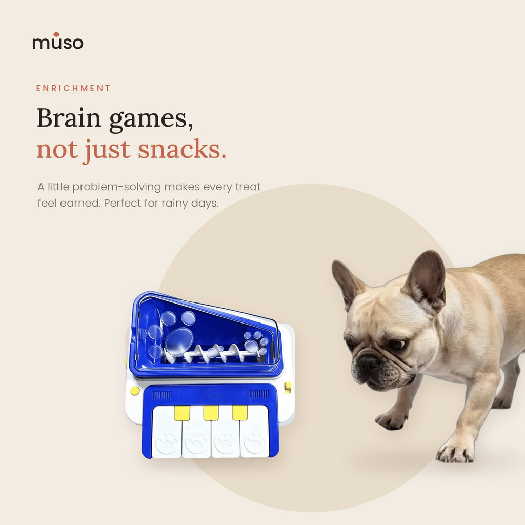 The Treat Piano – Interactive Treat Dispenser Game for Dogs